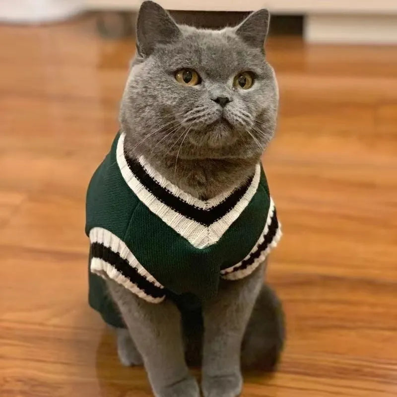 Pet cat winter coat with college-style layer, size M, khaki colour, for British Shorthair breed
