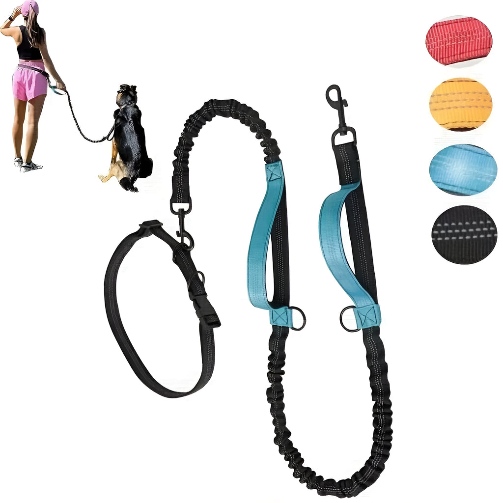 Hands-free dog leash with durable nylon construction and adjustable black waist belt for running and walking