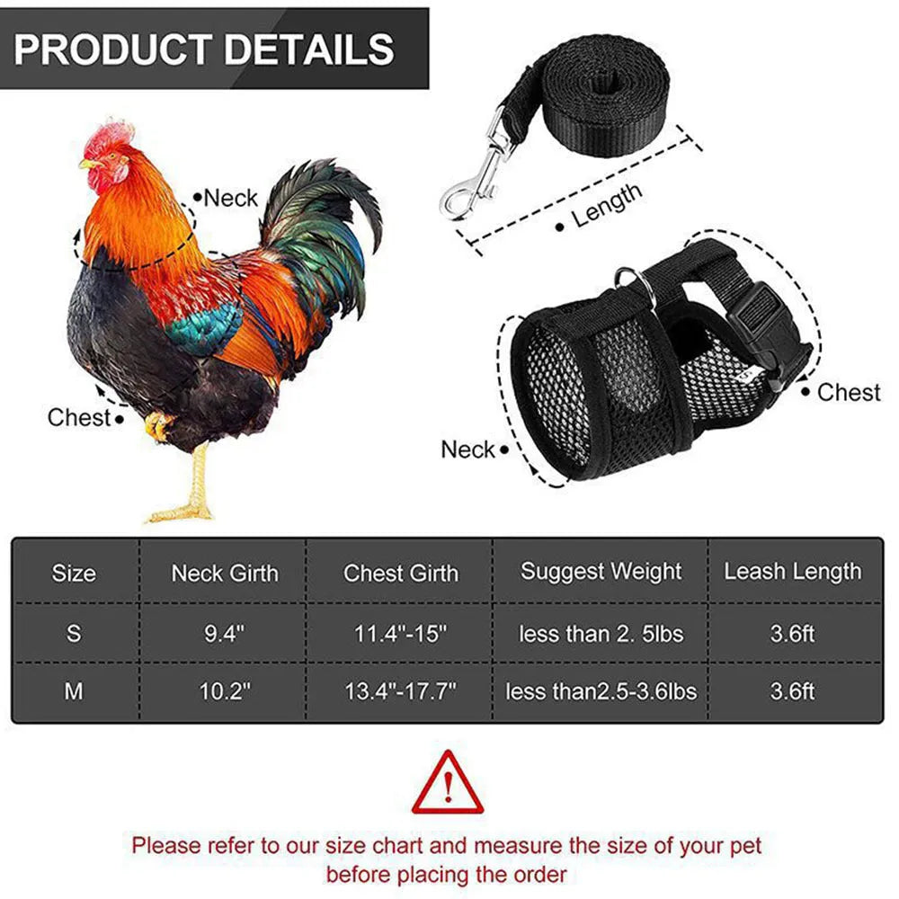 Pet chicken duck poultry vest harness with matching collar bow and 110cm traction rope on a bird
