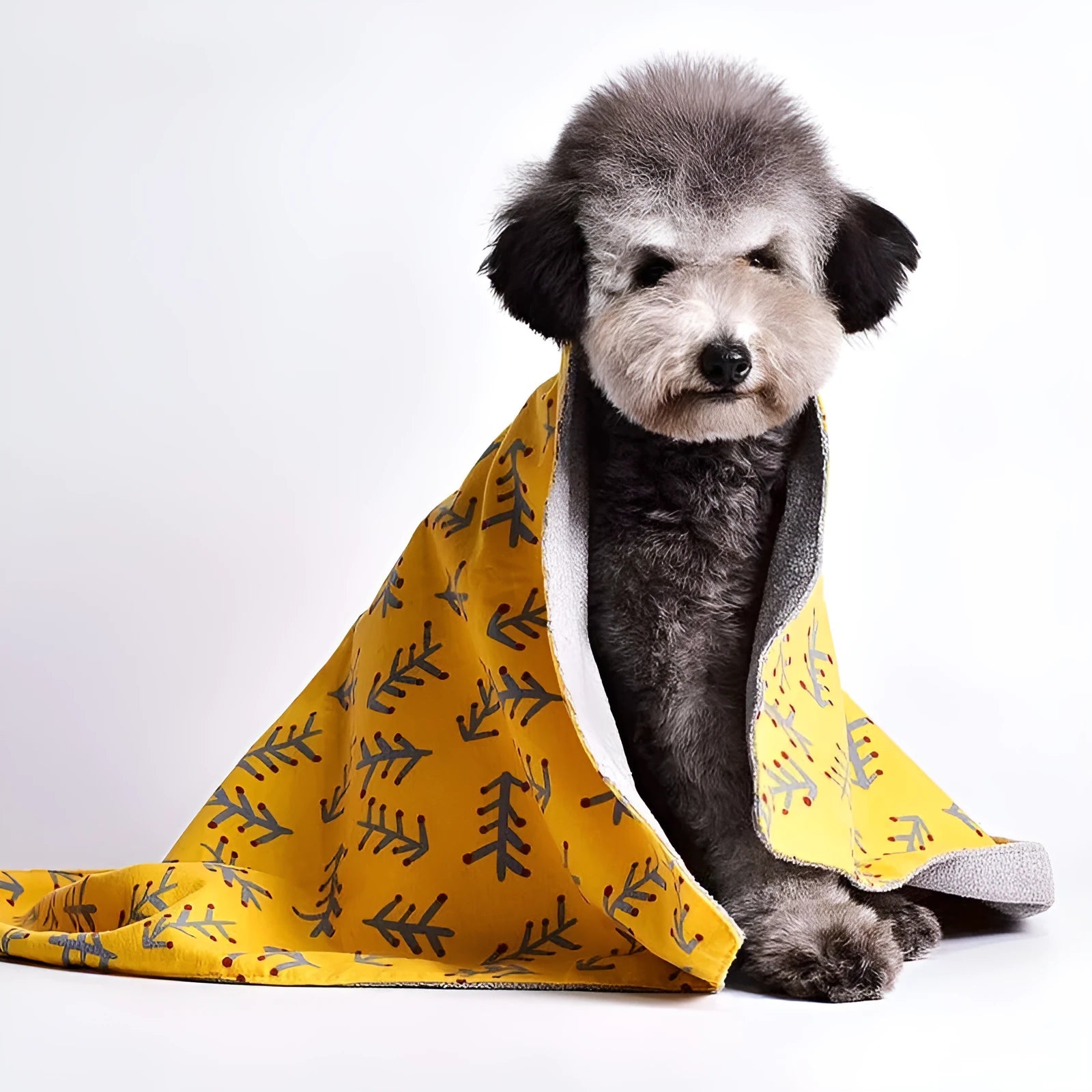 Double-sided cotton velvet pet blanket in pink apple design, available in sizes from S to XXL for dogs and cats