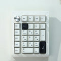 Wireless mechanical numeric keyboard with dedicated keypad in black colour