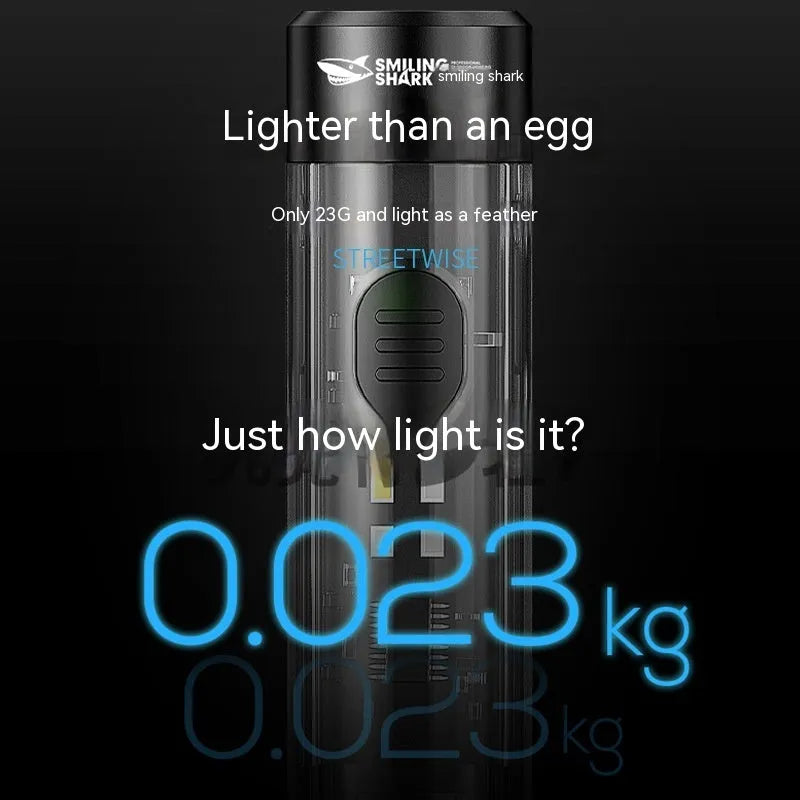 Portable outdoor flashlight 1W LED USB rechargeable black plastic body with built-in battery