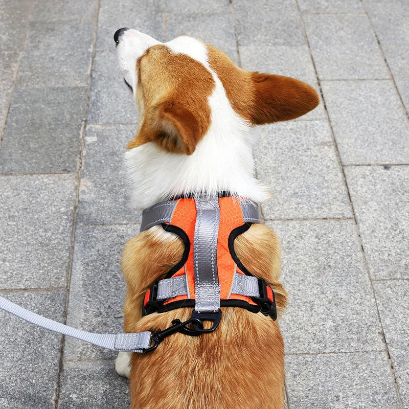 Adjustable dog harness with chest strap and detachable hand holding rope in multiple colours
