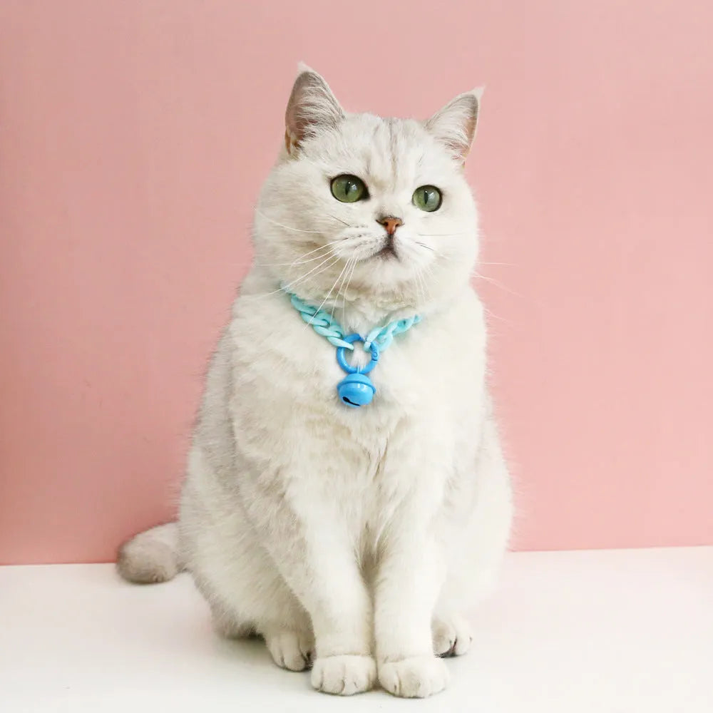 Adjustable plastic pet collar in macaron candy colours on a table, showing chain blue, pink, and mixed colour variants.