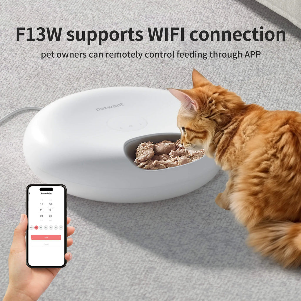 Donut Frost WiFi 6-meal automatic cat food dispenser with app control, two ice packs, and removable tray
