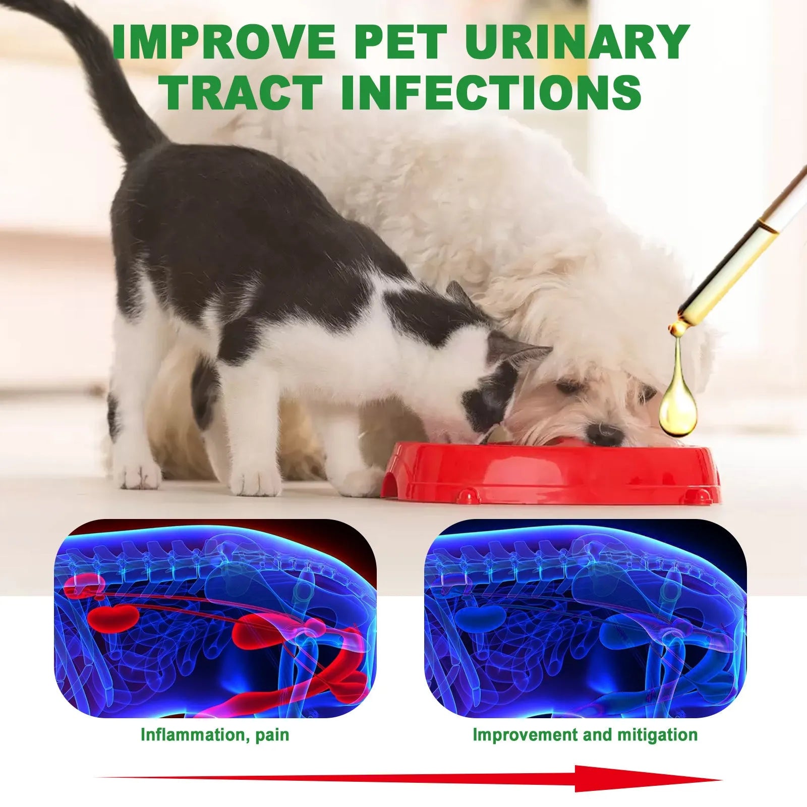 60ml bottle of Pet Pain Relief Universal Care Solution with natural extracts for dogs and cats