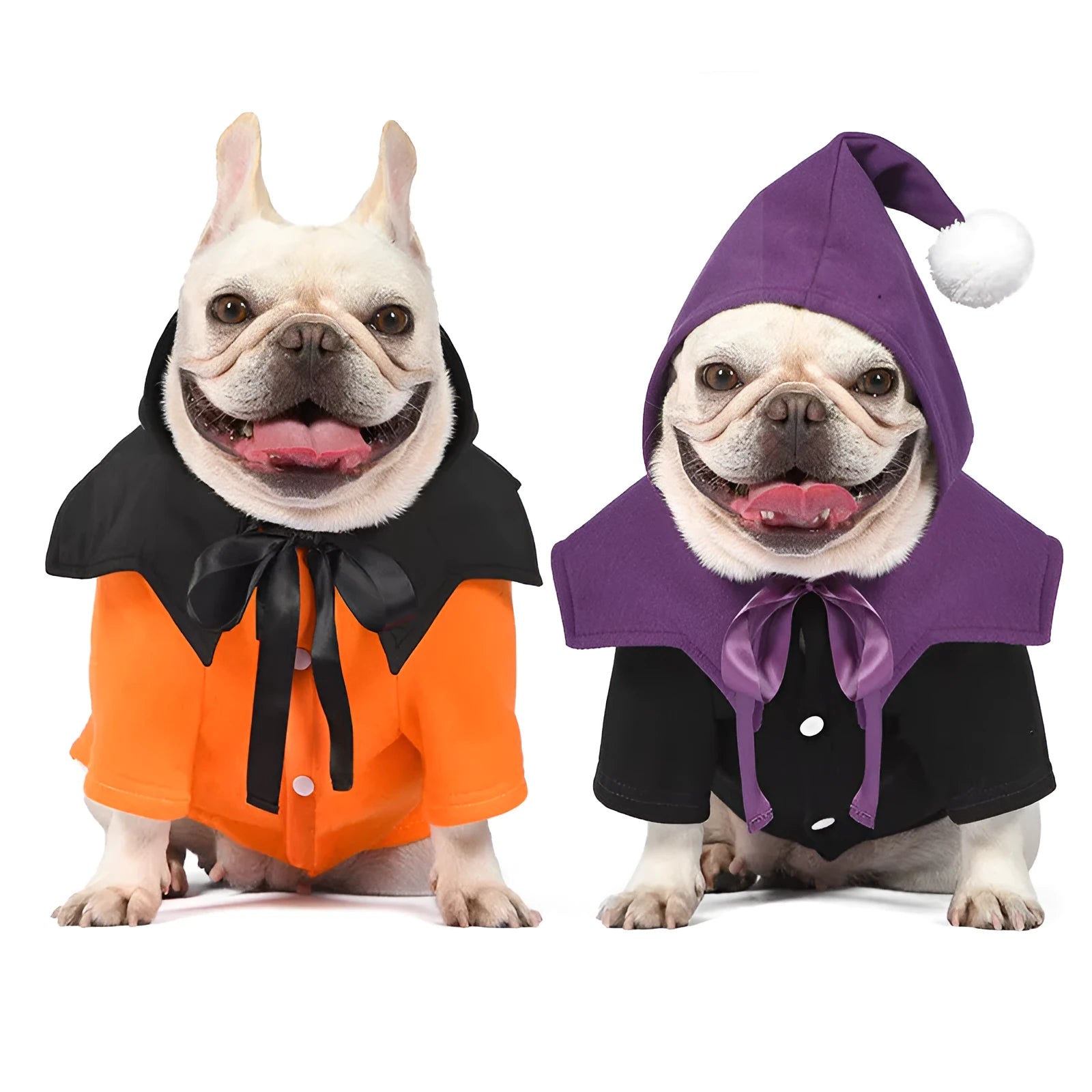 Halloween pumpkin print dog sweater and shawl costume in black or orange colours