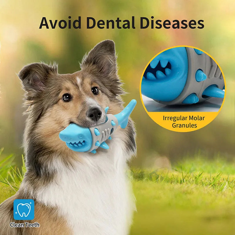 Dog teething leaky toy in blue with shark-tooth texture and bite-resistant material