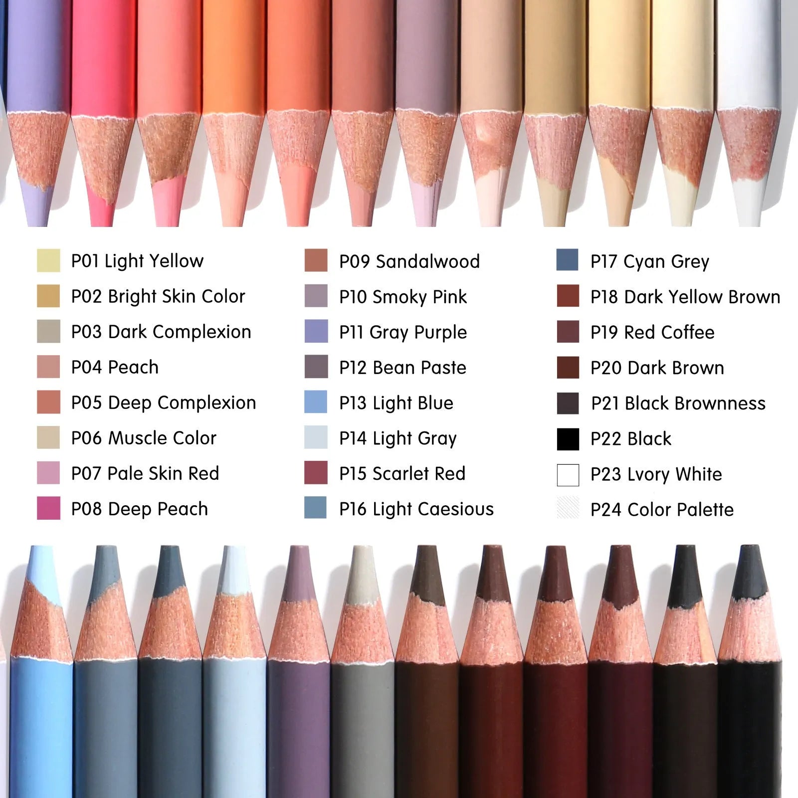 24 skin tone art pencils in round iron storage box for portrait drawing