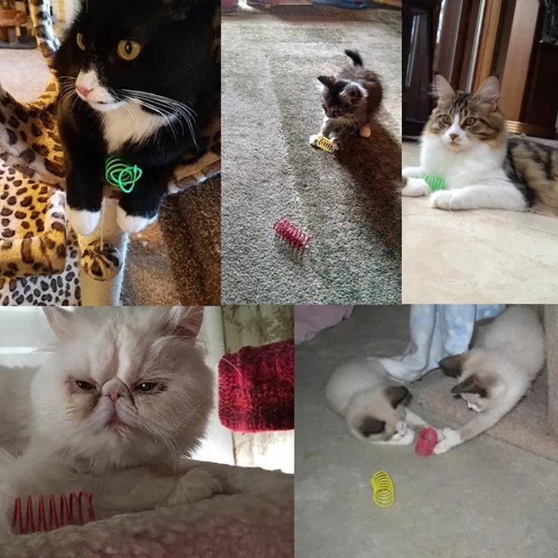Plastic cat spring toy coil spiral in assorted colours, 5.5cm length, 4 or 8 pack, heavy gauge