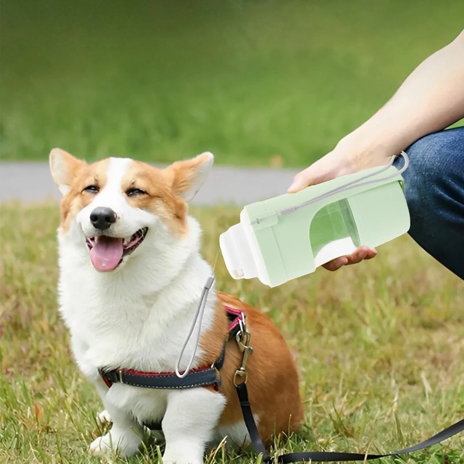 2 In 1 Travel Dog Water Bottle 690ml PP PET pet water dispenser feeder with lanyard for outdoor walks