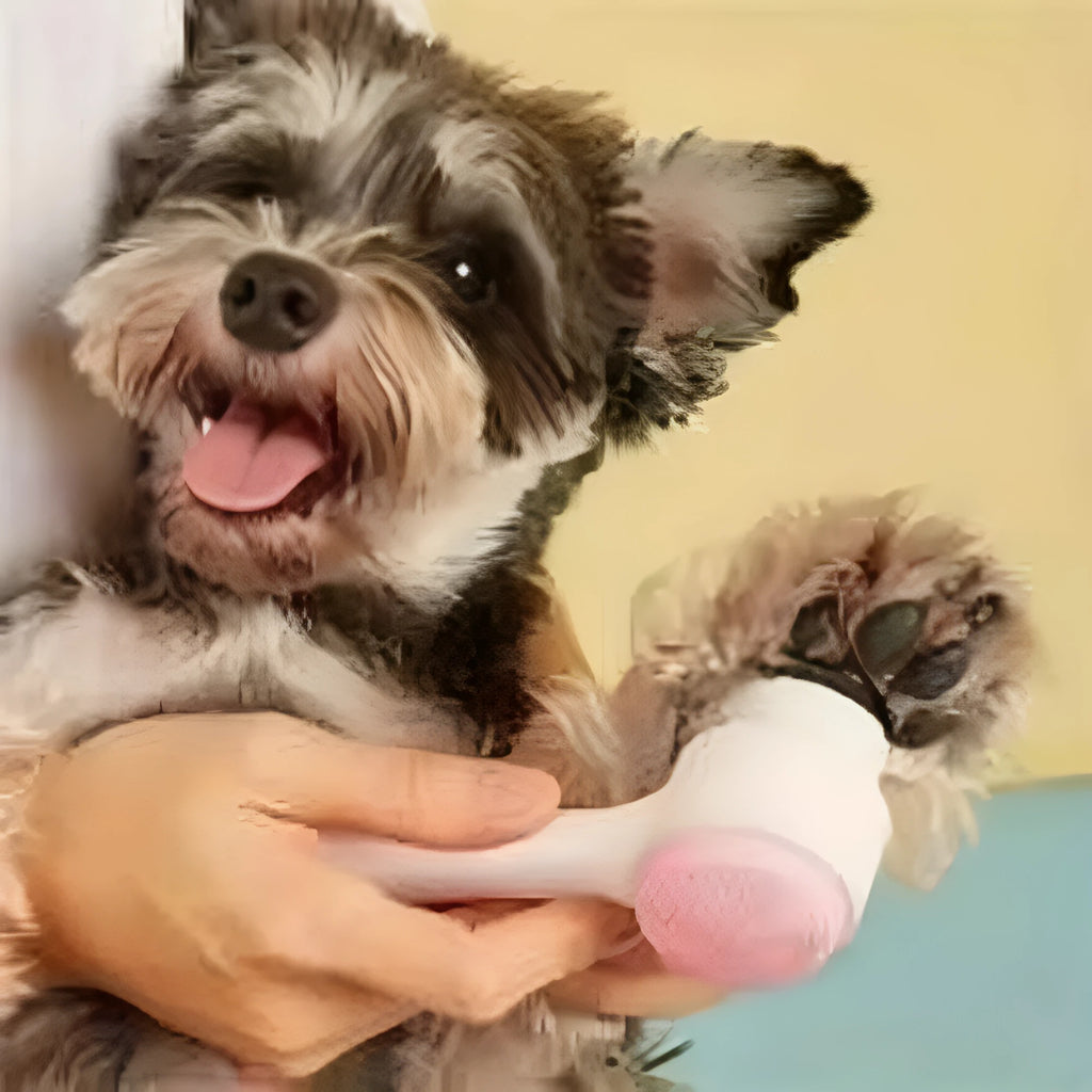 Blue pet paw brush with nylon bristles for dog and cat grooming