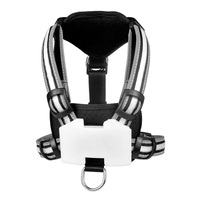 Luminous nylon dog lead with multi-colour LED lights and a coiled charging cable.