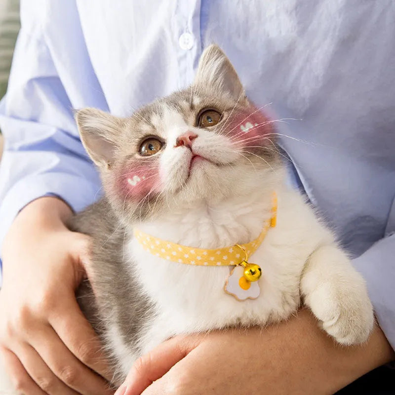 Green adjustable cat collar with a metal bell and red bow tie on a white background.
