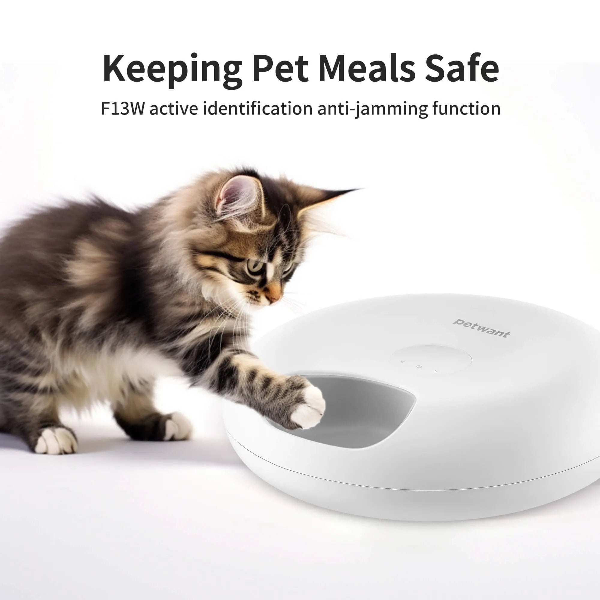 Donut Frost WiFi 6-meal automatic cat food dispenser with app control, two ice packs, and removable tray