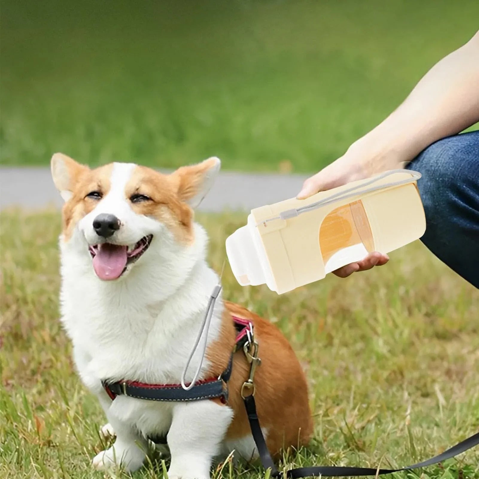 2 In 1 Travel Dog Water Bottle 690ml PP PET pet water dispenser feeder with lanyard for outdoor walks