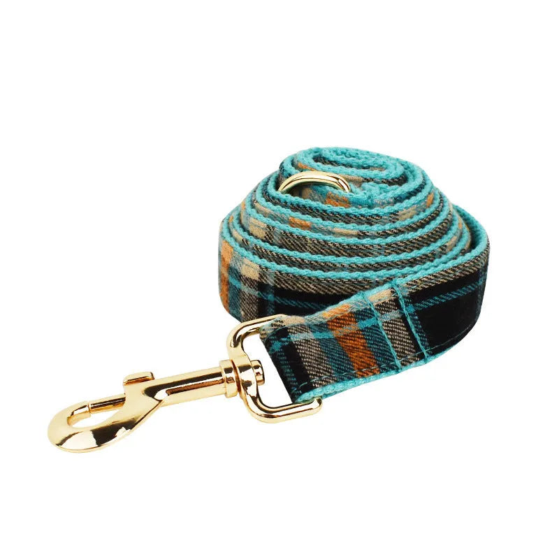 Green retro pet collar set with matching bow and dog vest on a light background