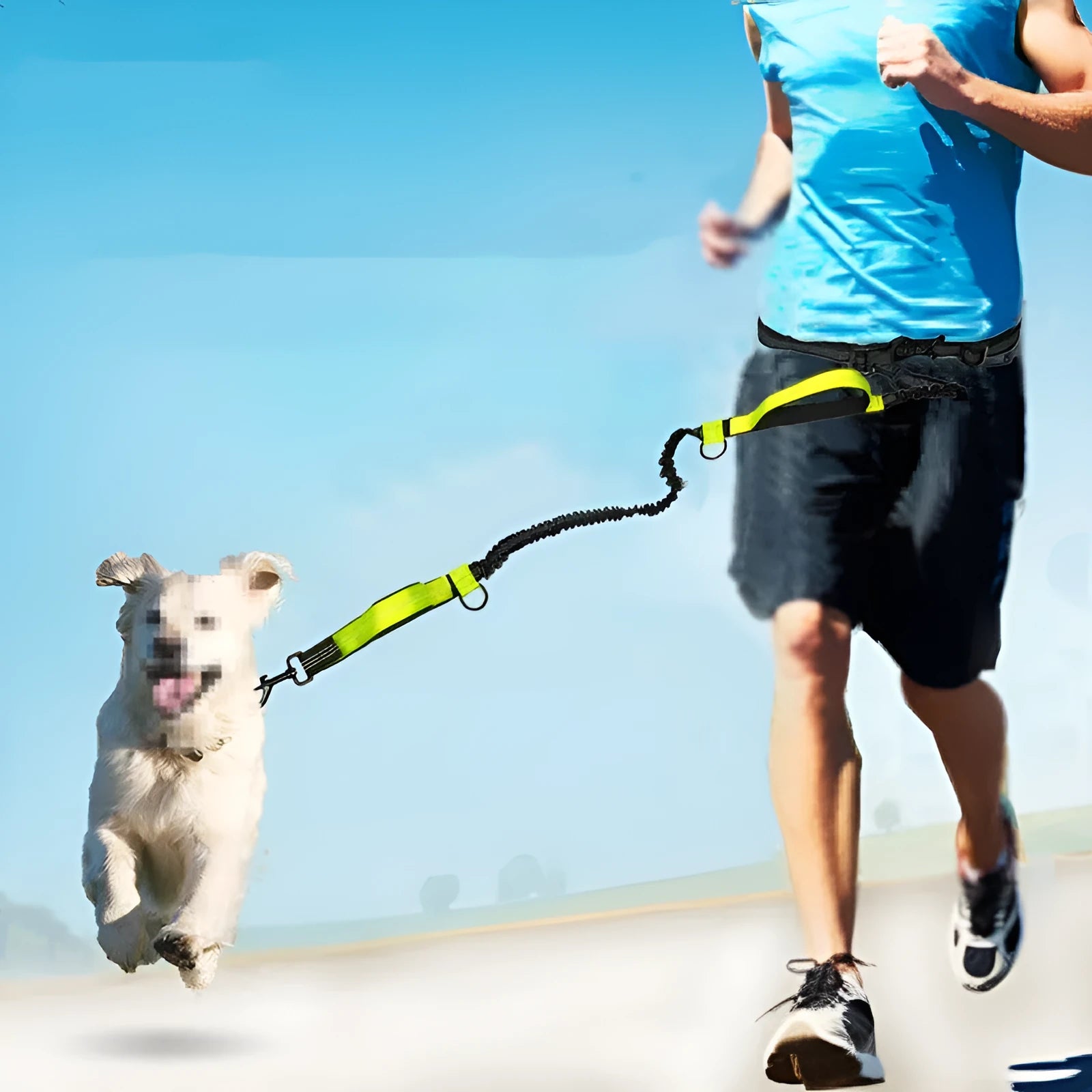 Multifunctional running reflective double telescopic dog leash in fluorescent green on white background