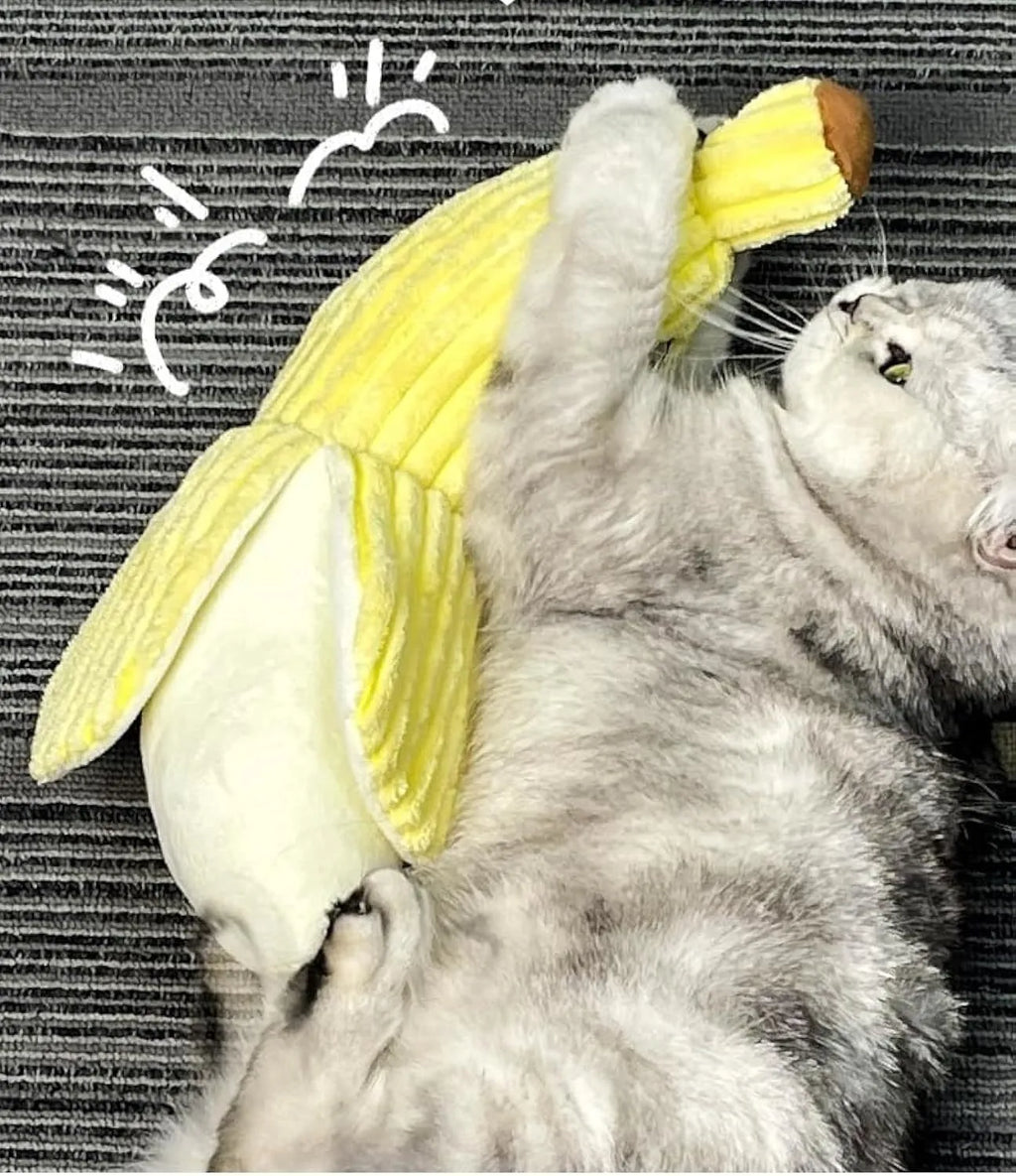 Yellow banana-shaped plush cat toy with crinkle sound, shown next to a cat for scale.
