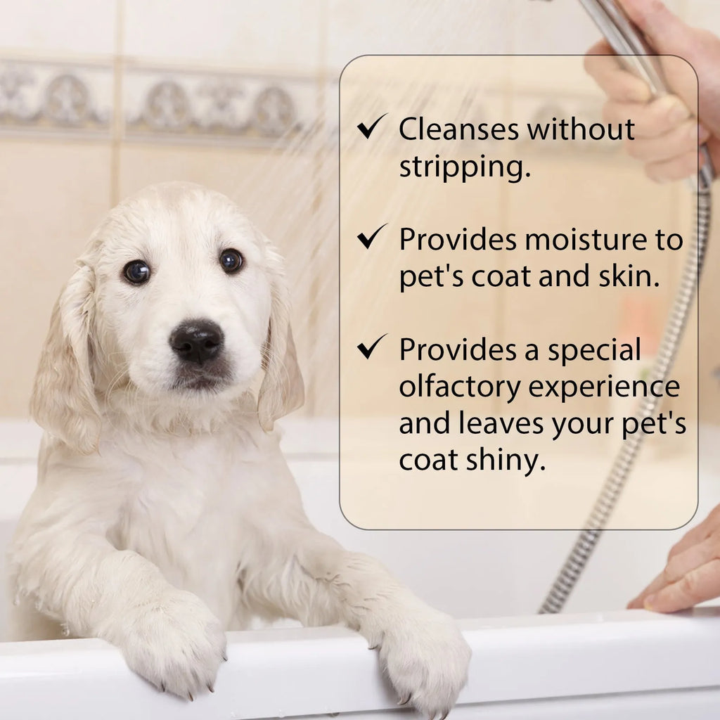 Mild dog shampoo bottle in 100ml and 300ml sizes for gentle coat cleansing