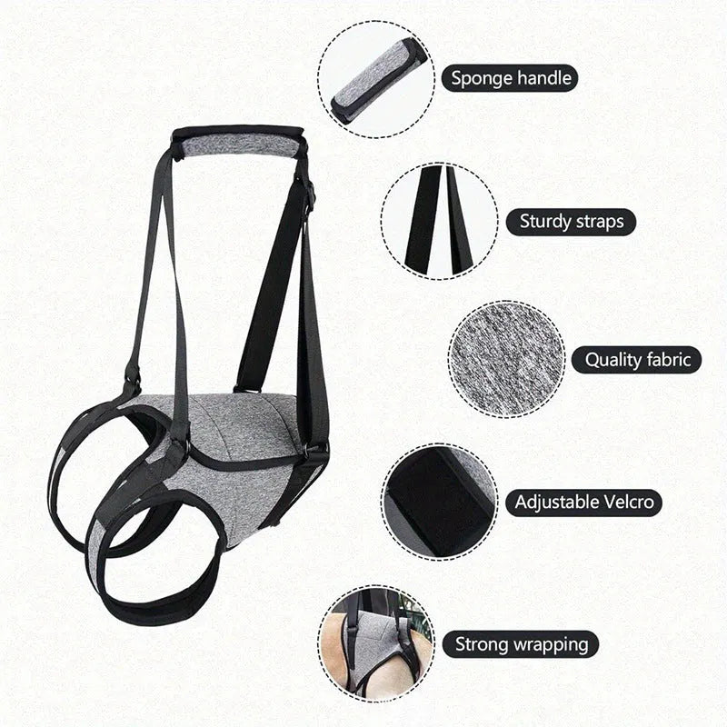 Grey neoprene dog rear leg support belt with adjustable waist and thigh straps laid flat.