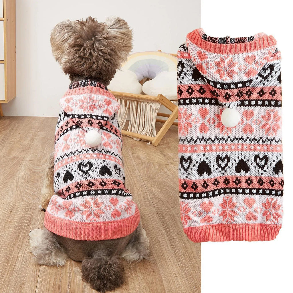 Blue knitted dog sweater with snowflake and camouflage patterns on a small white dog.
