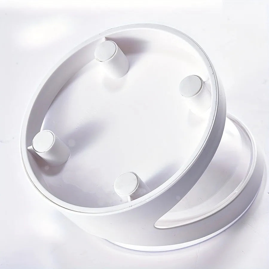 White clear plastic tilted cat food bowl for ergonomic feeding