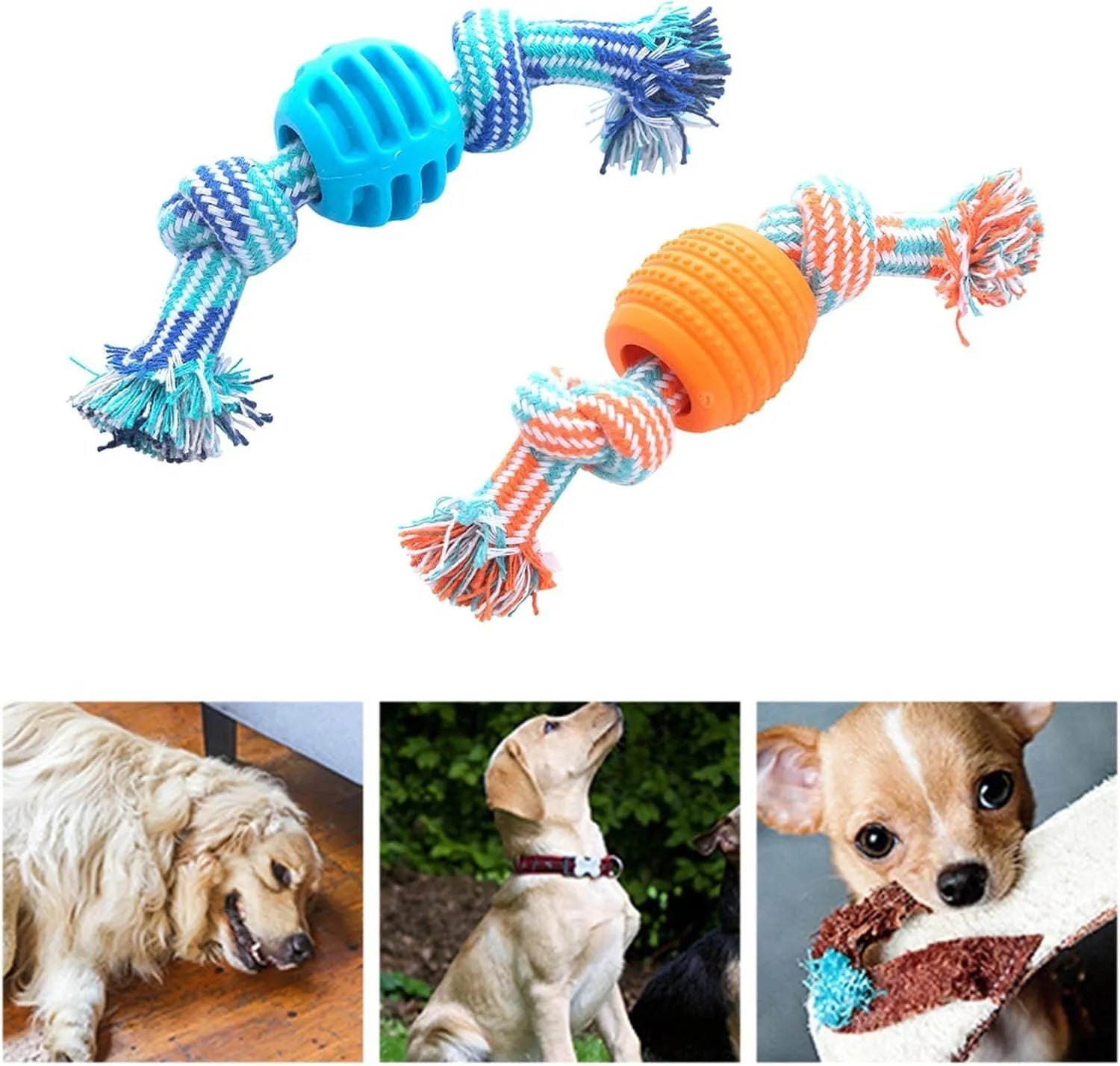 Blue molar-shaped dog chew toy with integrated rope elements for dental cleaning