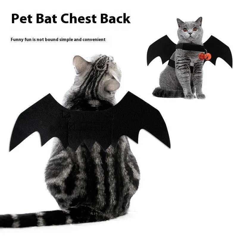 Black wings Halloween felt pet costume on a small cat with a bell accessory