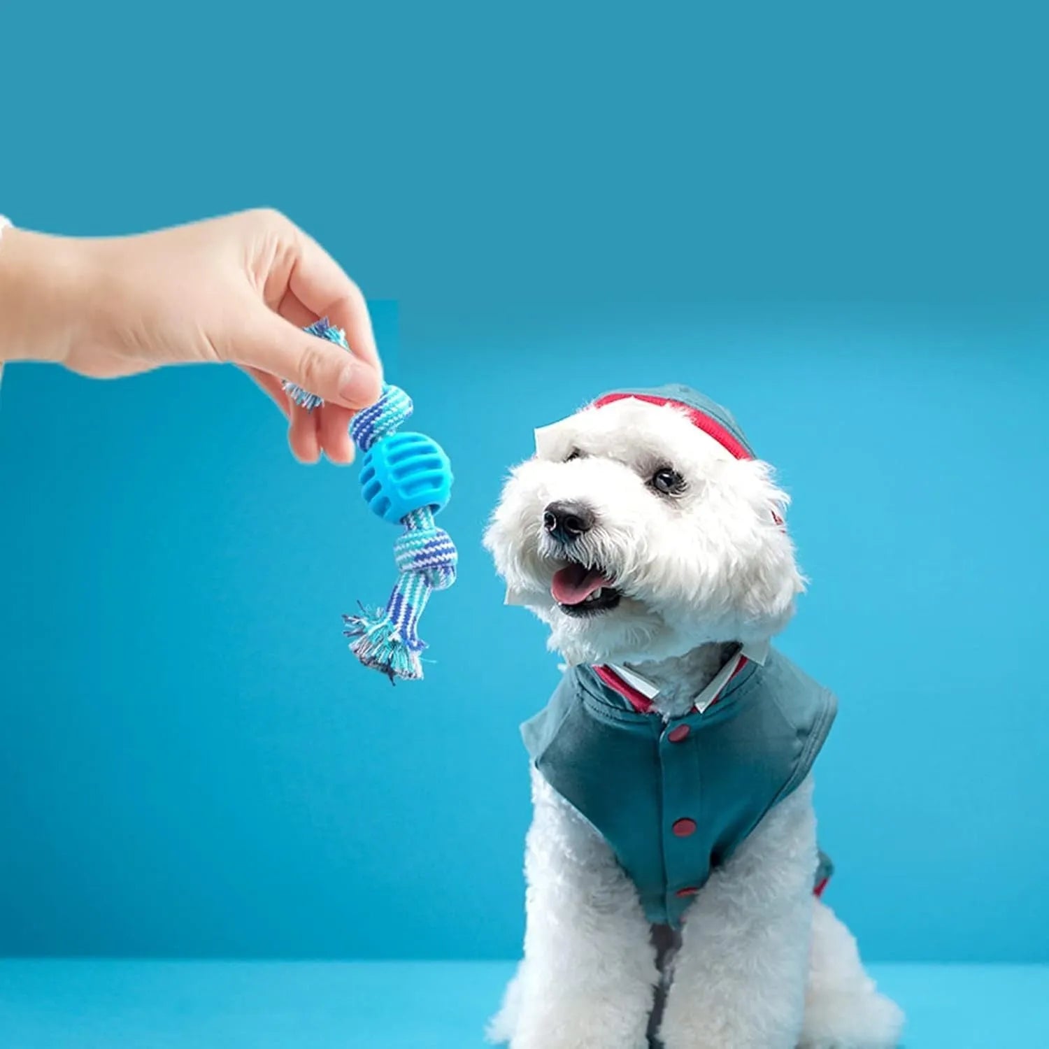 Blue molar-shaped dog chew toy with integrated rope elements for dental cleaning