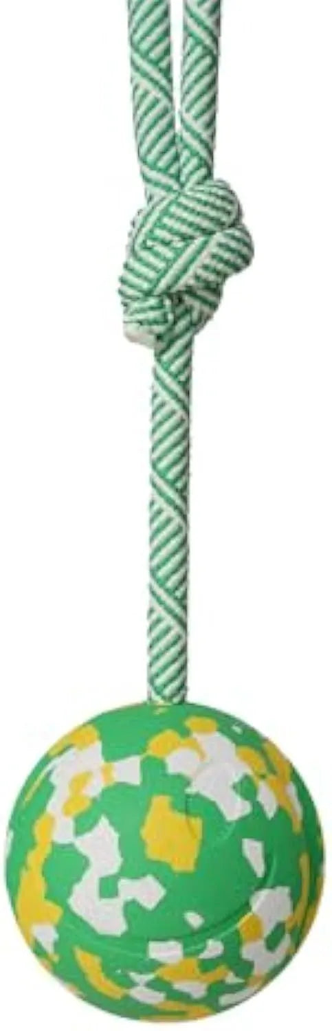 Dog rope ball toy with a solid rubber ball and nylon rope for fetch and tug games