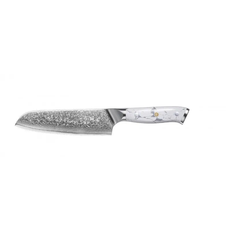 Damascus pattern combined chef's knife with VG10 steel blade, 21cm blade length