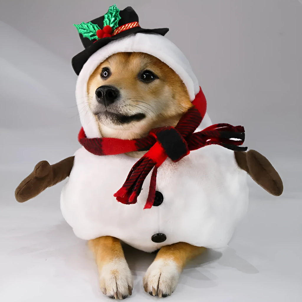 Christmas snowman funny transformation dog costume for pets made of polyester in snowman colour