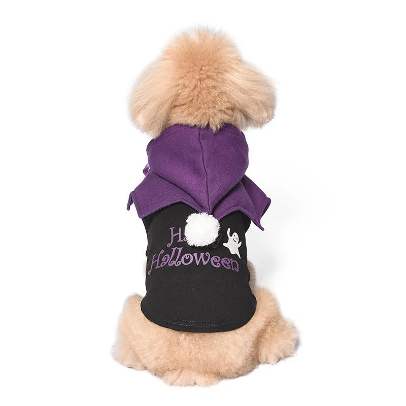 Halloween pumpkin print dog sweater and shawl costume in black or orange colours