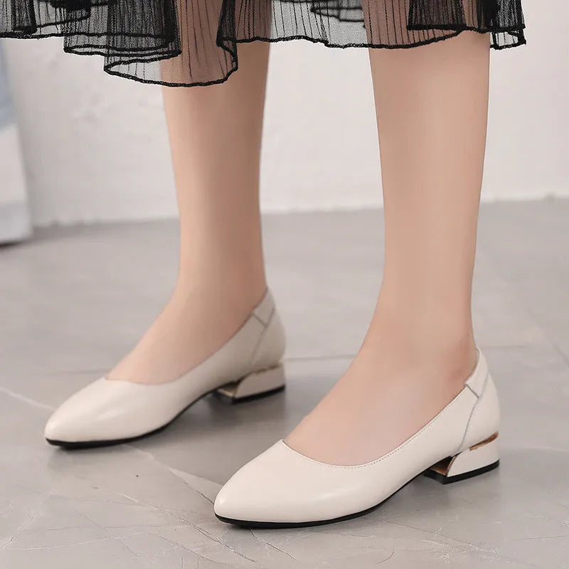 Beige flat pointed low-cut cowhide leather shoes with buckle closure and low heel on a white background