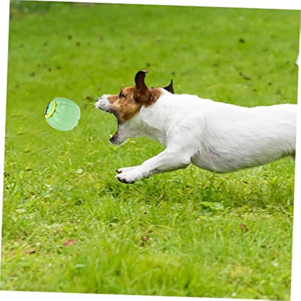 Pumpkin-shaped plastic dog chew toy with squeaker for small breed puppies