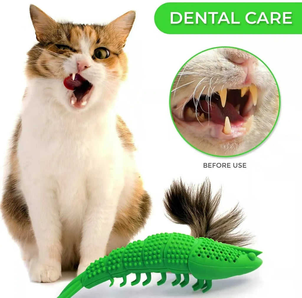Blue hard rubber cat chew toy with a textured surface for teeth cleaning and interactive play.