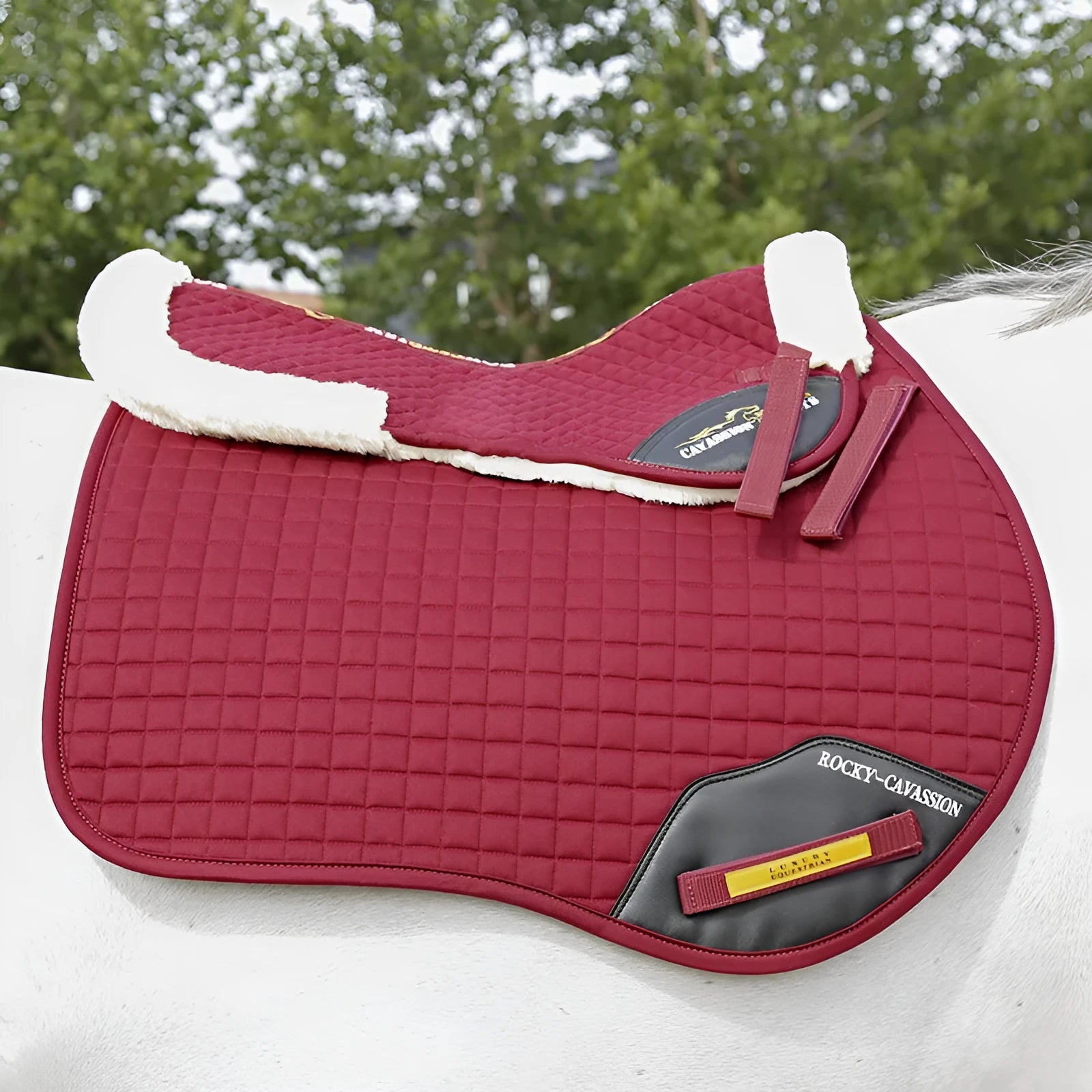 Riding saddle pad with shock absorption for waist protection during equestrian and cycling activities