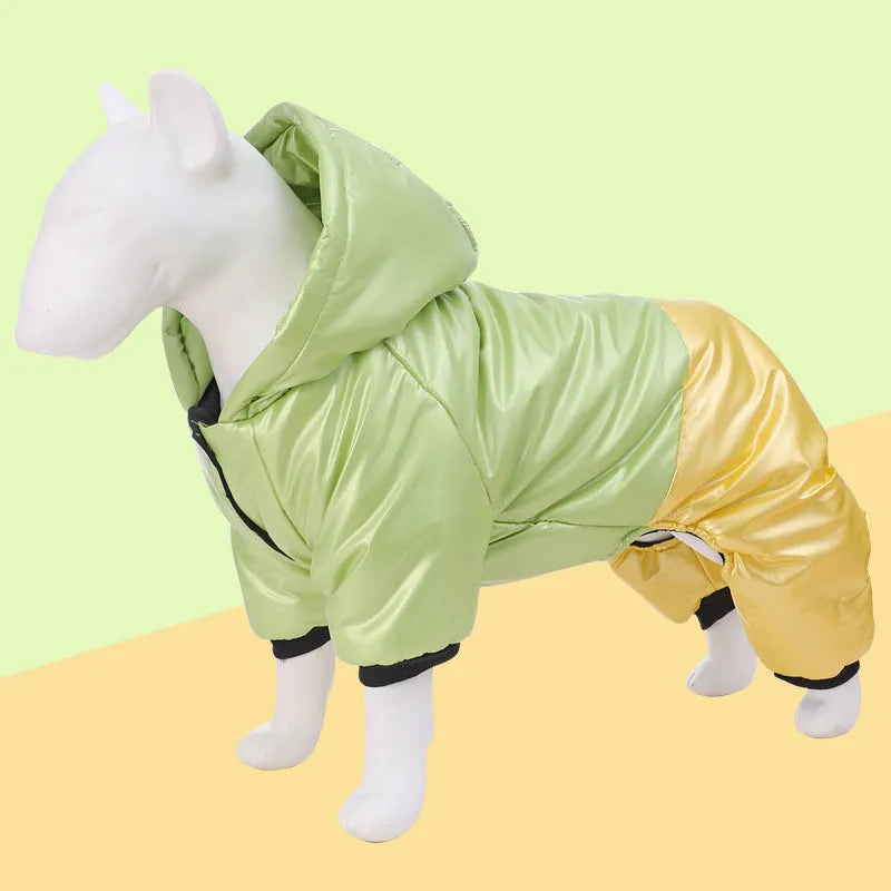 Green cotton dog coat with four-legged design and padded lining on a dog outdoors.
