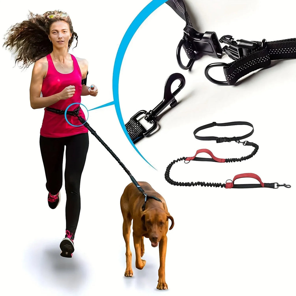 Hands-free dog leash with durable nylon construction and adjustable black waist belt for running and walking