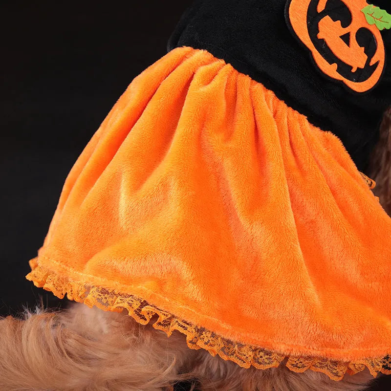 Halloween pumpkin skirt and sweater pet costume for dogs and cats in crystal velvet material