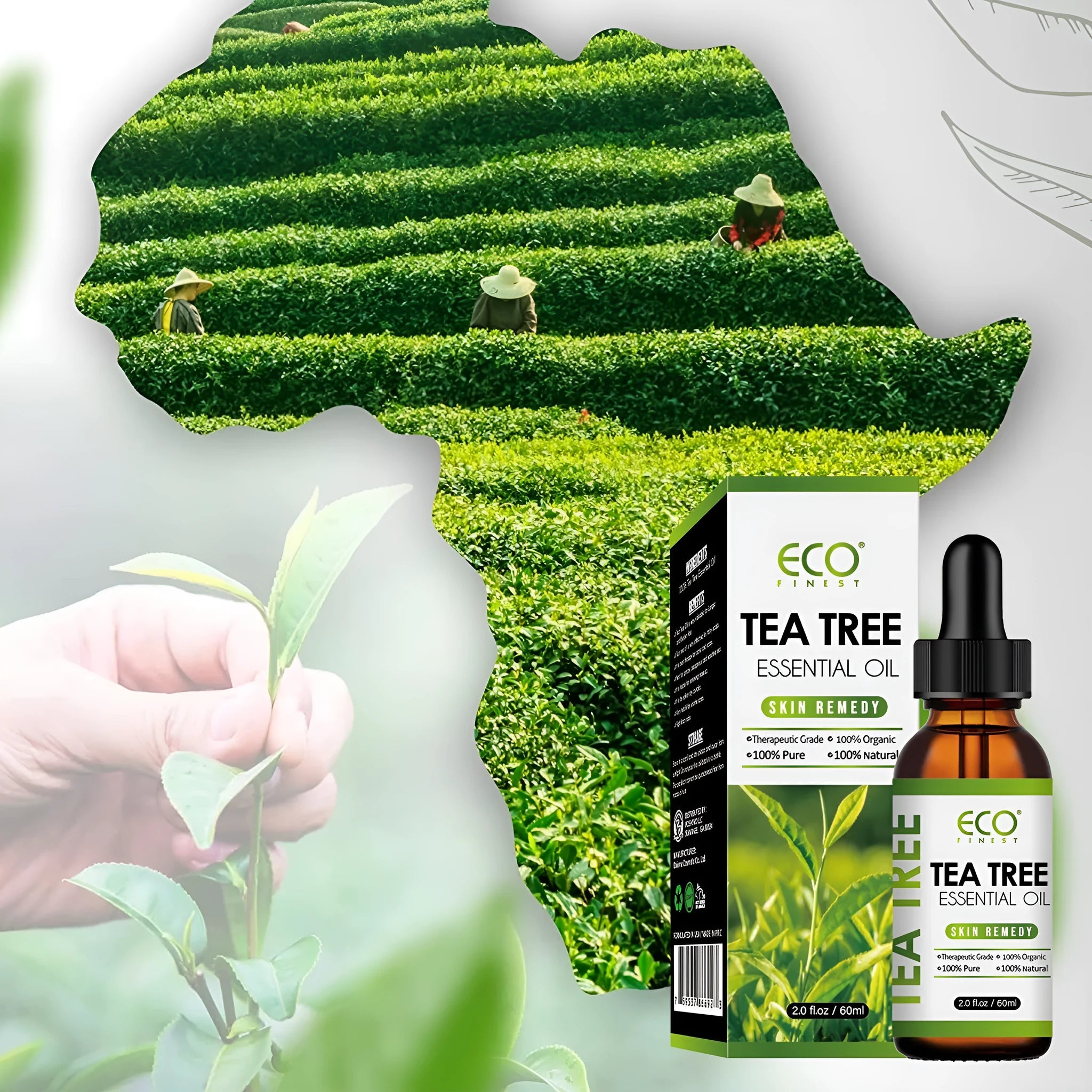 60ml bottle of Australian tea tree essential oil for skincare