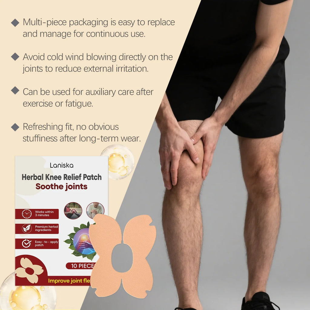 LANISKA herbal joint care patch kit with 10 moxa leaf menthol adhesive bandages in storage box