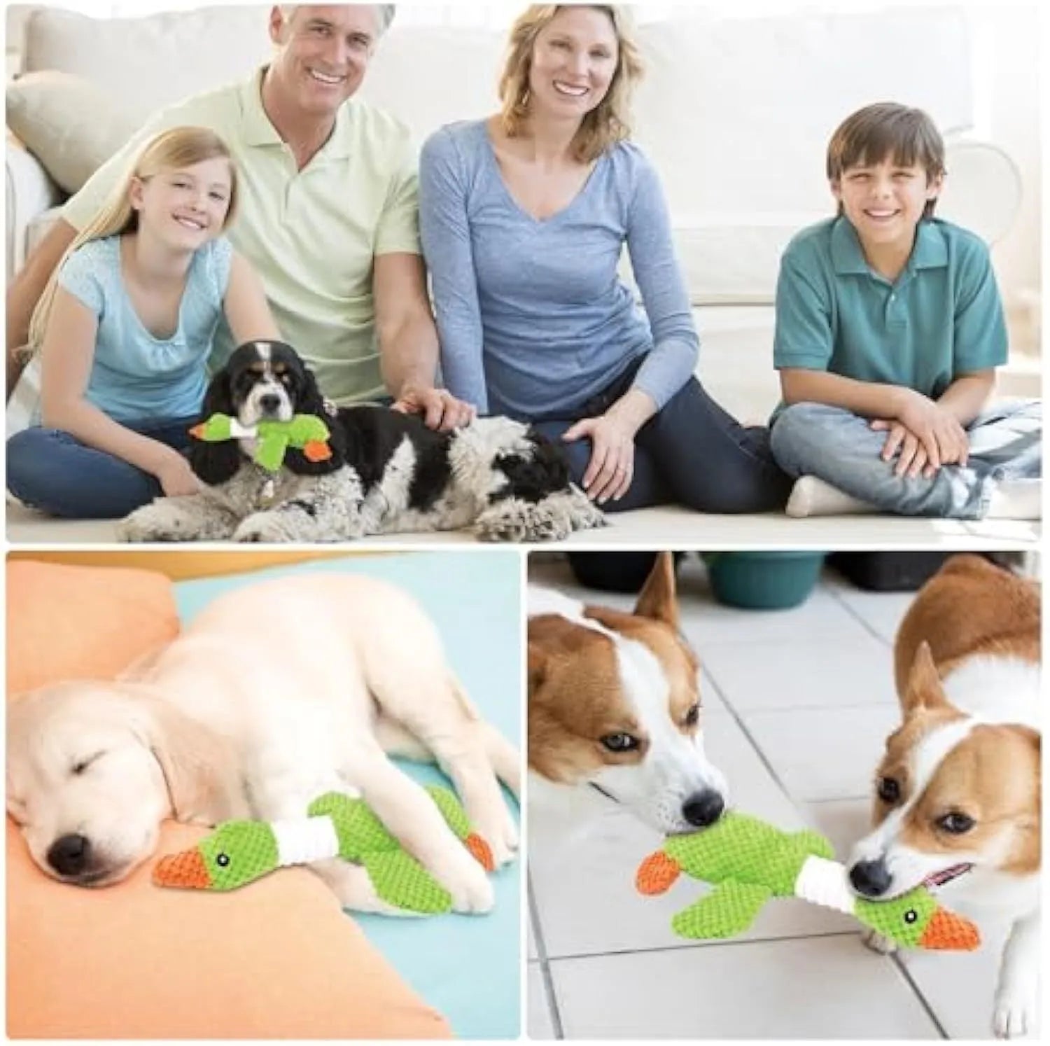 Blue duck-shaped plush dog toy with squeakers for chewing play measuring 33cm long