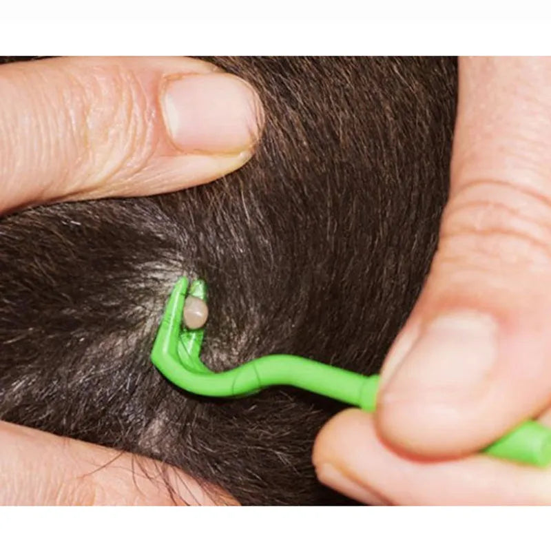Three plastic tick removal hook tools for pets in blue or green colours