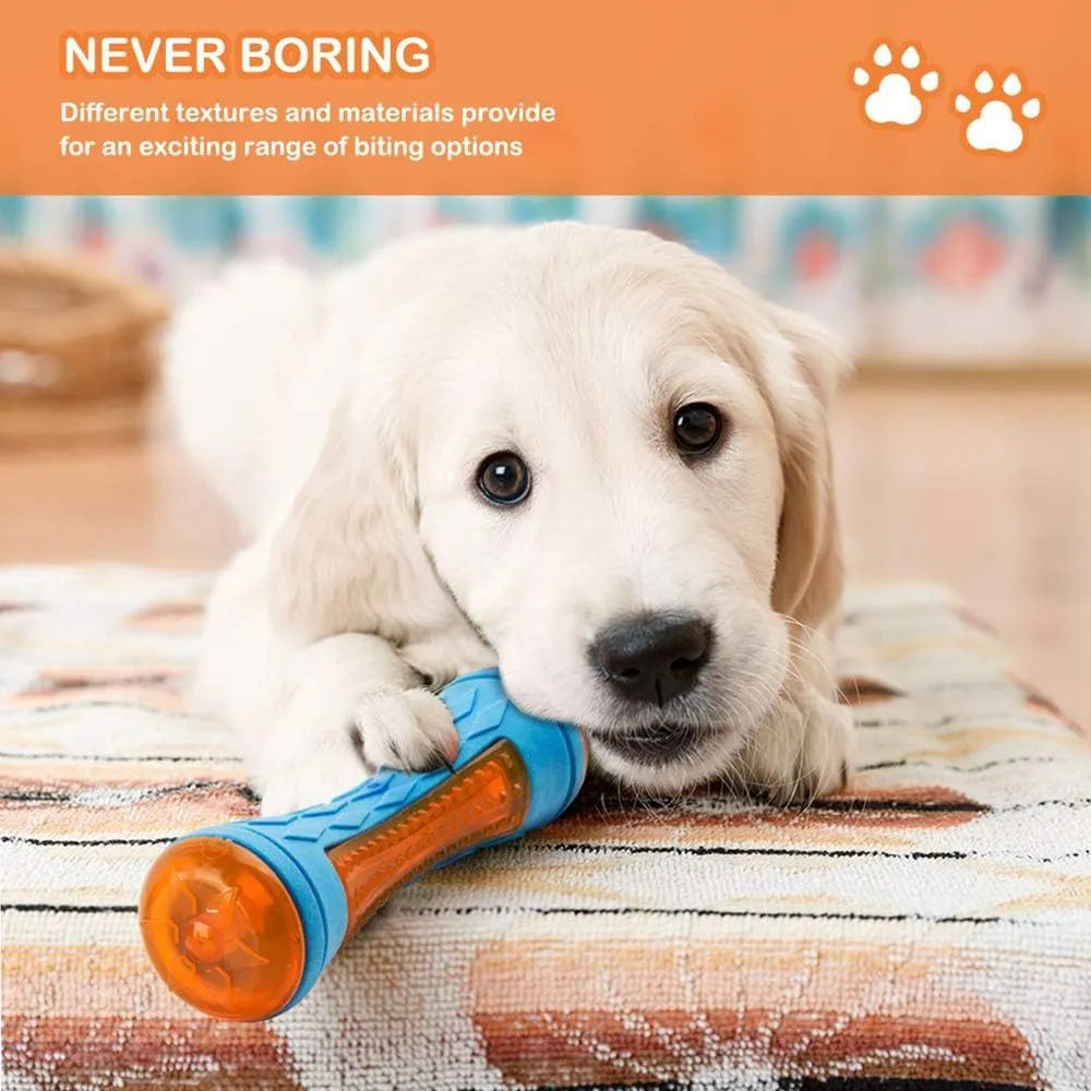 Set of three floating squeaky dog toys: a red ball, a blue barbell, and an orange tyre.