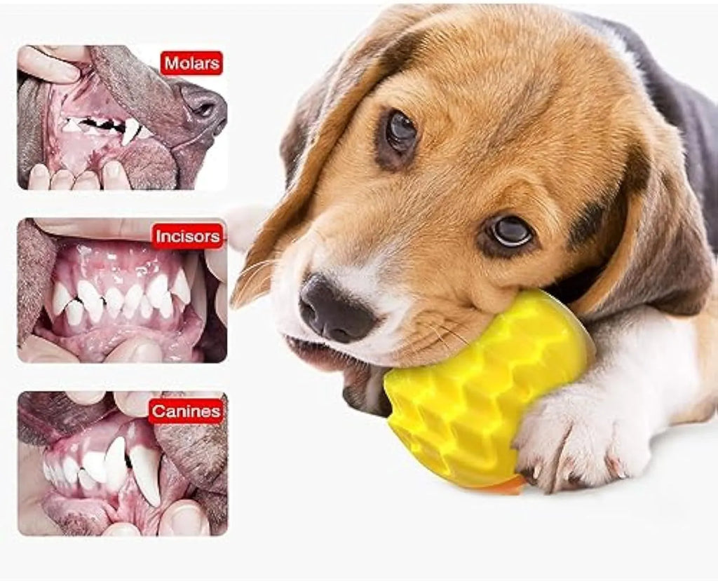 Blue and orange squeaky dog ball with spiky surface for dental cleaning and water fetch
