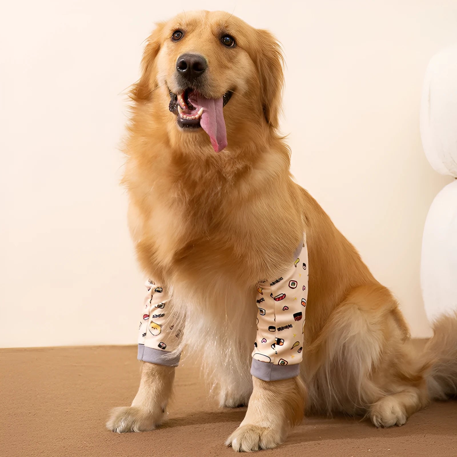 Blue dog knee protector with matching scarf showing adjustable straps and elbow padding