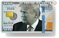 Plastic nano SIM card wallet in silver grey holding credit cards and coins.