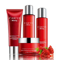Pomegranate set moisturising cosmetics skincare products face wash toner lotion facial cream red packaging